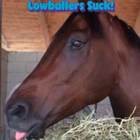 No low offers! You will be blocked! - Picture 1 of 1